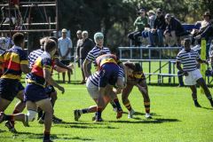 SACS_BRACKENFELL_2NDS_SYMONS_15_04_2023-8-of-117